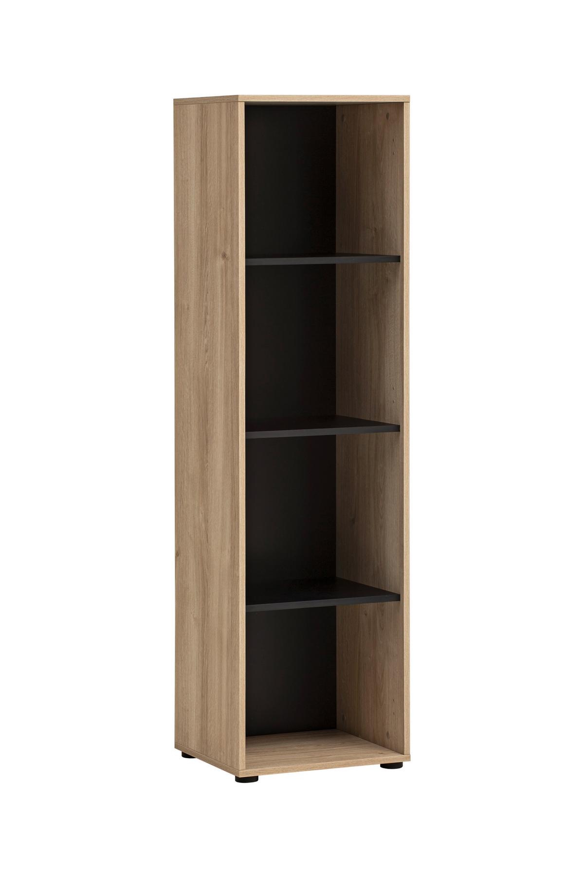 Aktenregal Emmik Schwarz/Eichefarben - Eichefarben/Schwarz, MODERN, Holzwerkstoff/Kunststoff (44,8/163,6/41cm) - MID.YOU