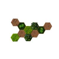 Moospaneel Grün/Hellbraun - Hellbraun/Grün, Basics, Naturmaterialien/Holz (19/22cm)