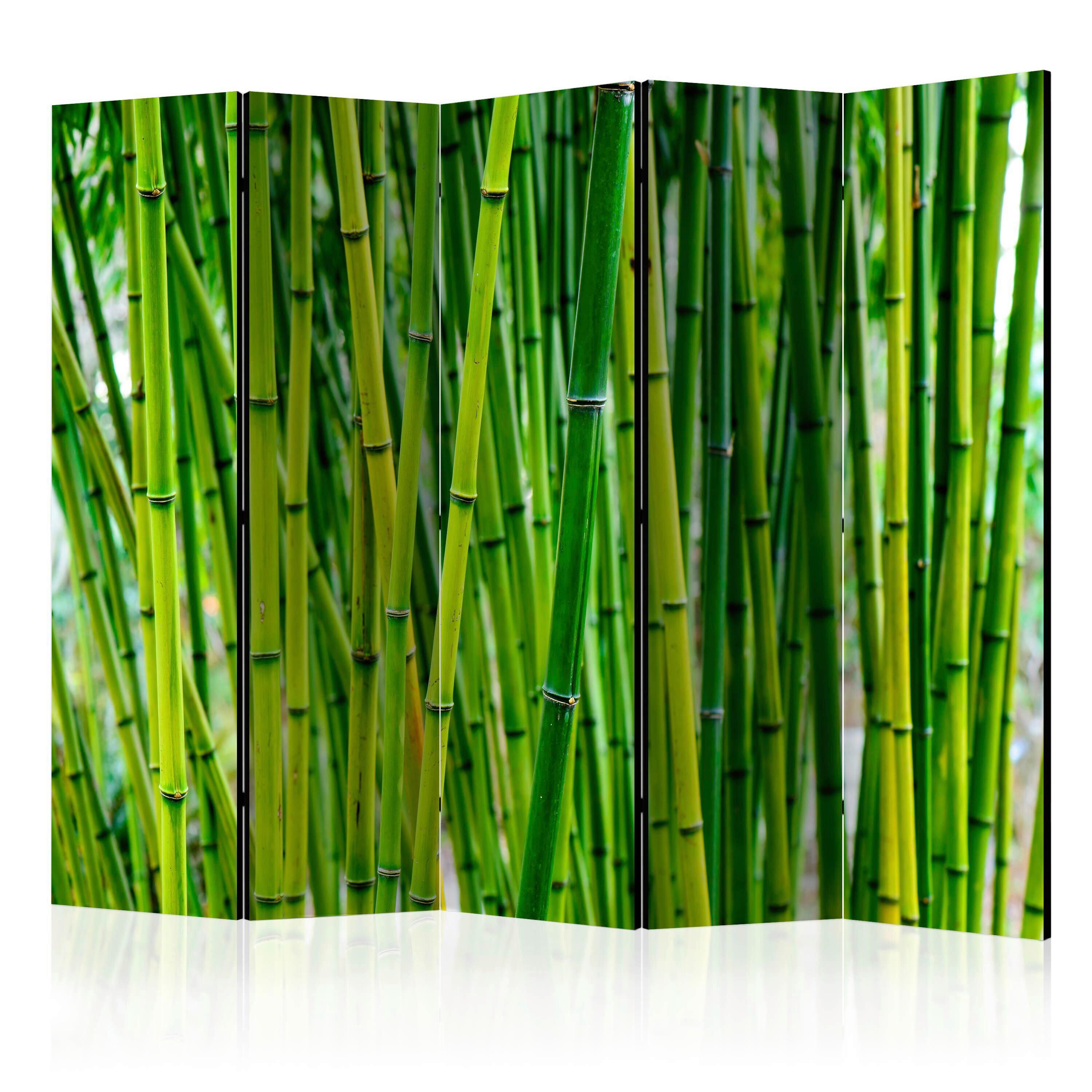 Paravan Bamboo Forest I, 5-Delni, Akustičen - svetlo zelena, Basics, umetna masa/tekstil (225/172/3cm) - artgeist