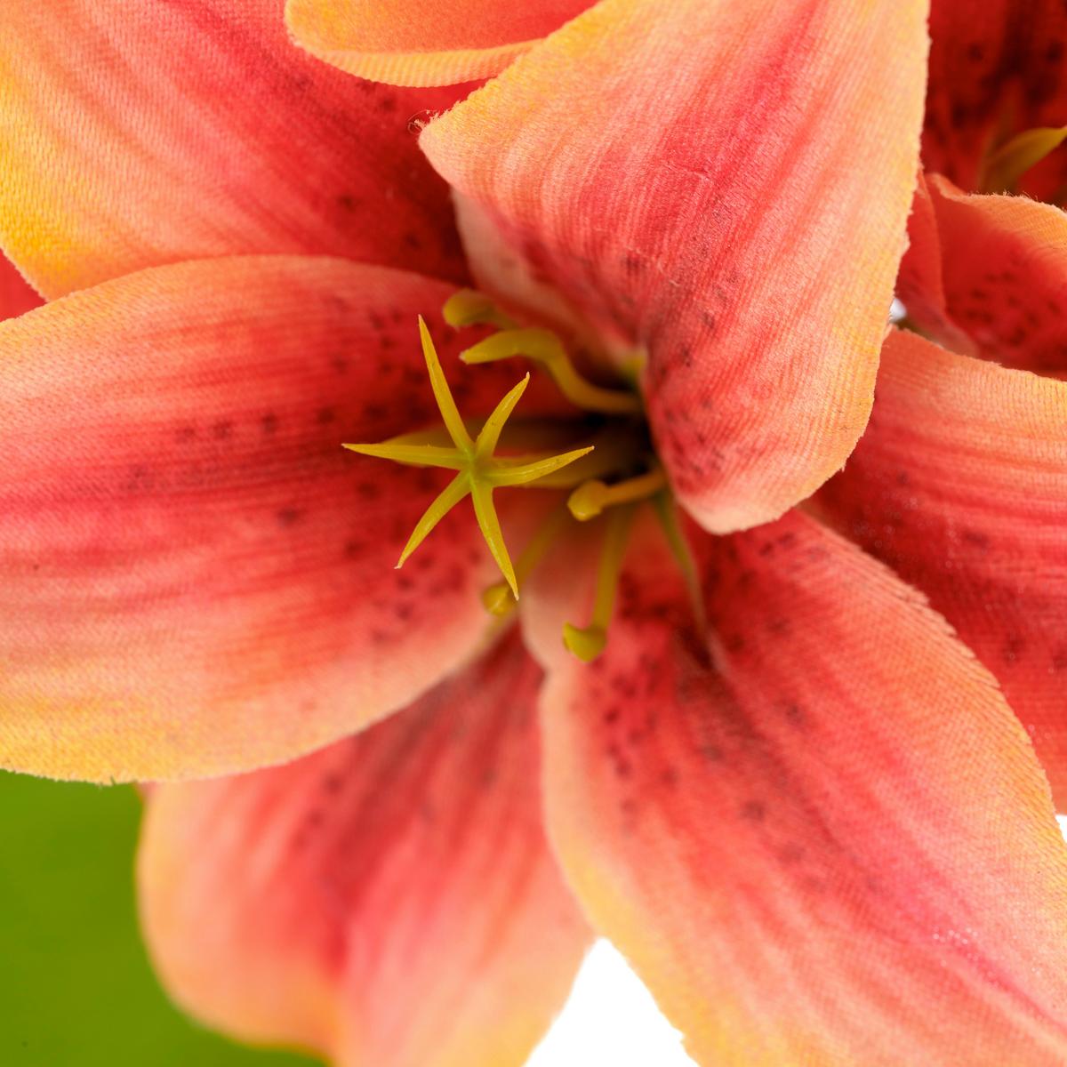 Lilie I Grün/Orange ca. 78cm - Orange/Grün, Basics, Kunststoff/Textil (78cm) - Mömax