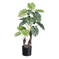 Kunstpflanze Taro II in Grün/Braun - Schwarz/Braun, Basics, Kunststoff (70cm) - Modern Living