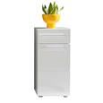 Midischrank Bora - Chromfarben/Silberfarben, MODERN, Holzwerkstoff/Kunststoff (37/79/31cm)