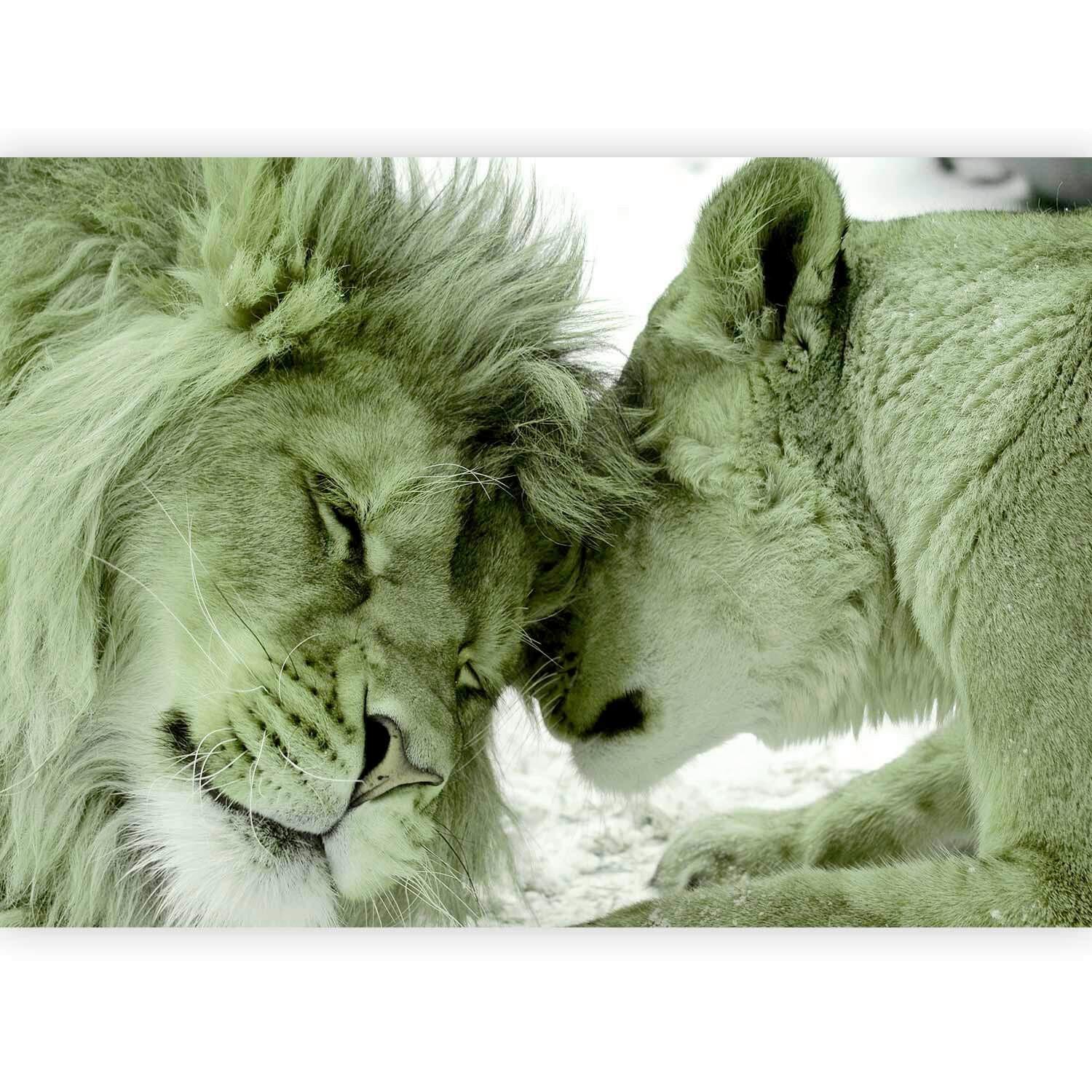 Fototapeta Lion Tenderness, 450x315cm - bela/svetlo zelena, Trendi, tekstil (450/315cm) - artgeist