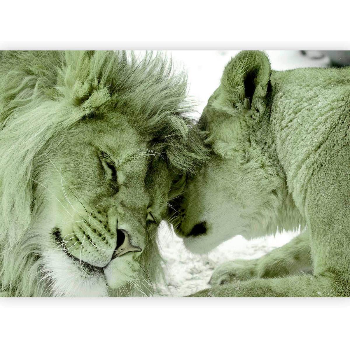 Fototapeta Lion Tenderness, 450x315cm - bela/svetlo zelena, Trendi, tekstil (450/315cm) - artgeist