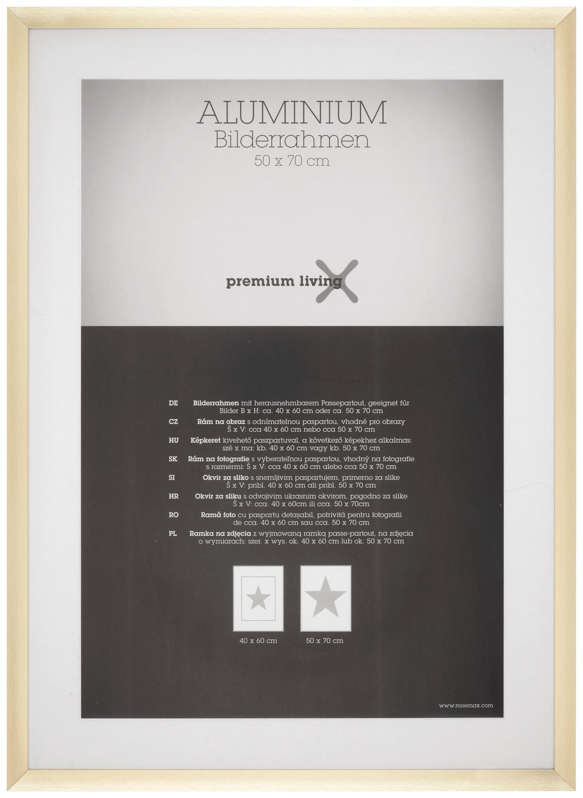 Bilderrahmen Aluminium in Goldfarben - Messingfarben/Goldfarben, ROMANTIK / LANDHAUS, Metall (53,1/73,1/2.2cm) - Premium Living