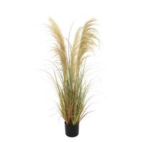 TRAWA DEKORACYJNA B0201-LBR-BEG5 - brązowy, Natur, tworzywo sztuczne/metal (120cm) - Ambia Home