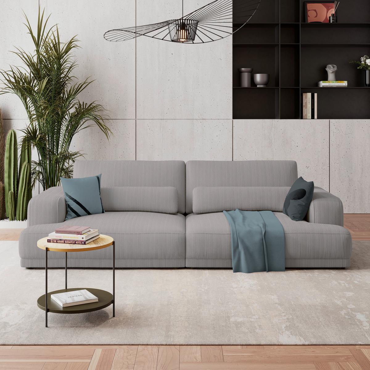Velika Sofa Savona - svijetlo siva, Trend, tekstil (260/77/111cm) - Luca Bessoni