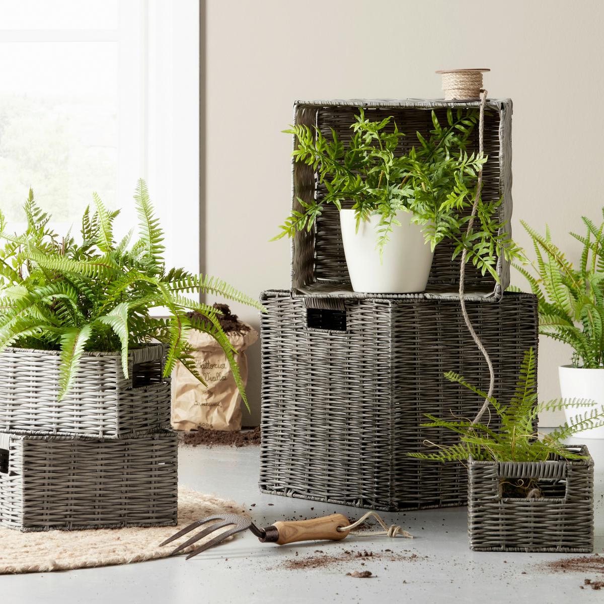 Okrasna Rastlina Farn I - zelena, Basics, umetna masa (22cm) - Modern Living