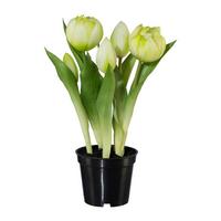 Műnövény Tulipán - fekete/fehér, Basics, műanyag (25cm) - Modern Living