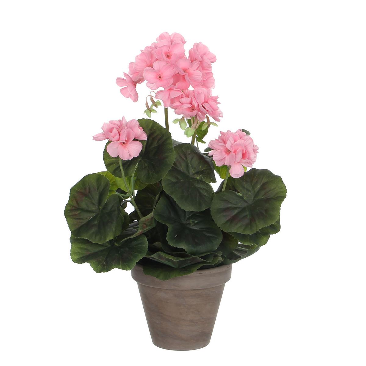 Umetna Rastlina Greta - Konvencionalno (20/34cm) - Mömax