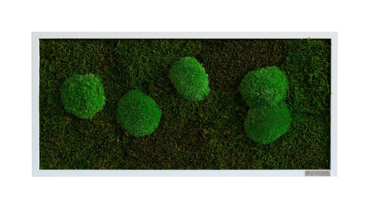 Moosbild Grün - Weiß/Grün, Basics, Naturmaterialien/Holz (57/27/6cm)