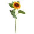 Napraforgó Sunny - sárga/zöld, műanyag (12/58cm) - MÖMAX modern living