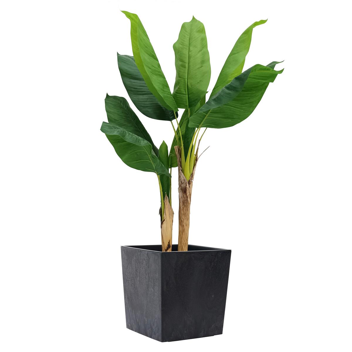 Pflanzentopf Schwarz matt - Schwarz, Basics, Kunststoff (40/41/40cm) - Siena Garden