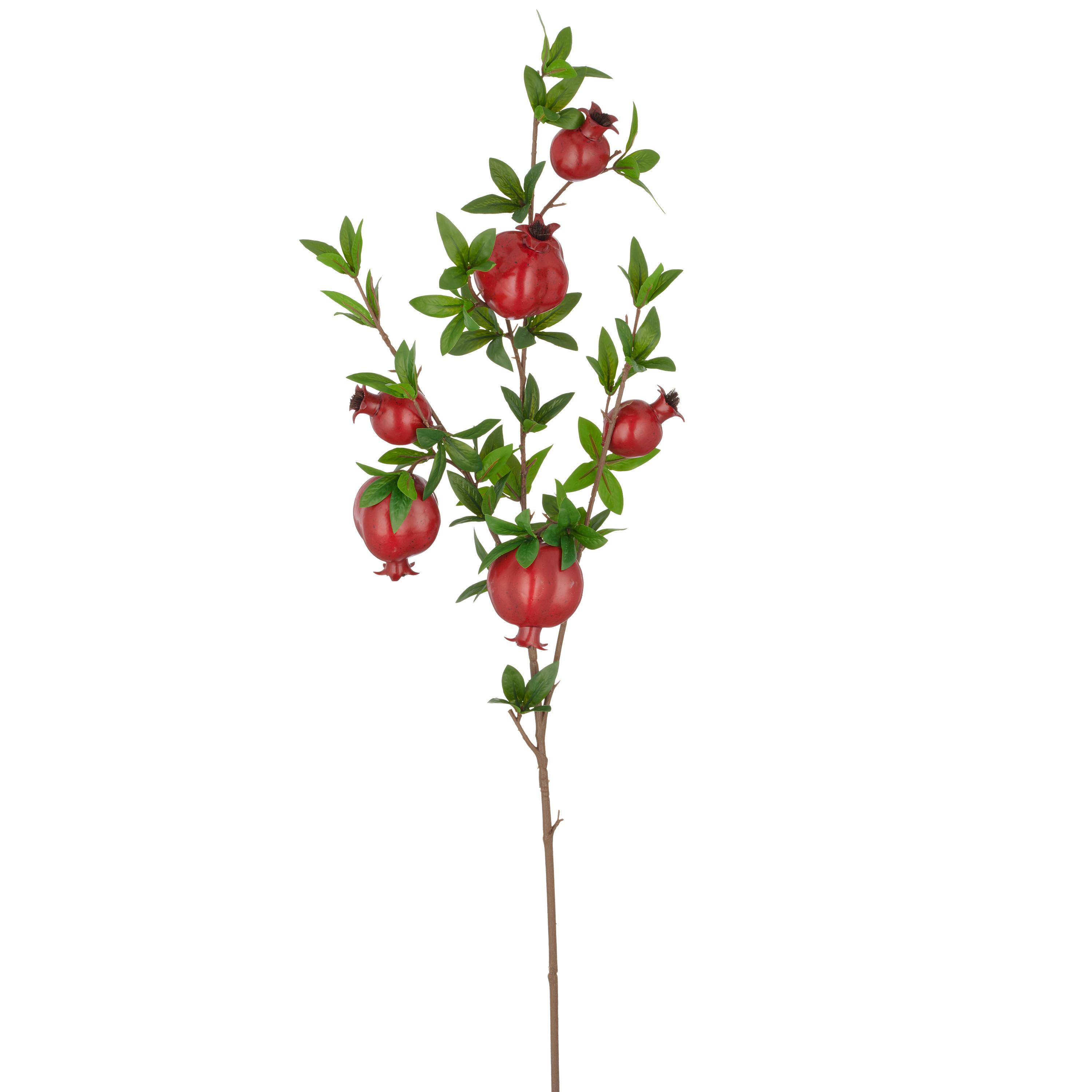 Umetna Rastlina Granatapfelzweig I - rdeča/zelena, Basics, umetna masa (94cm) - Mömax
