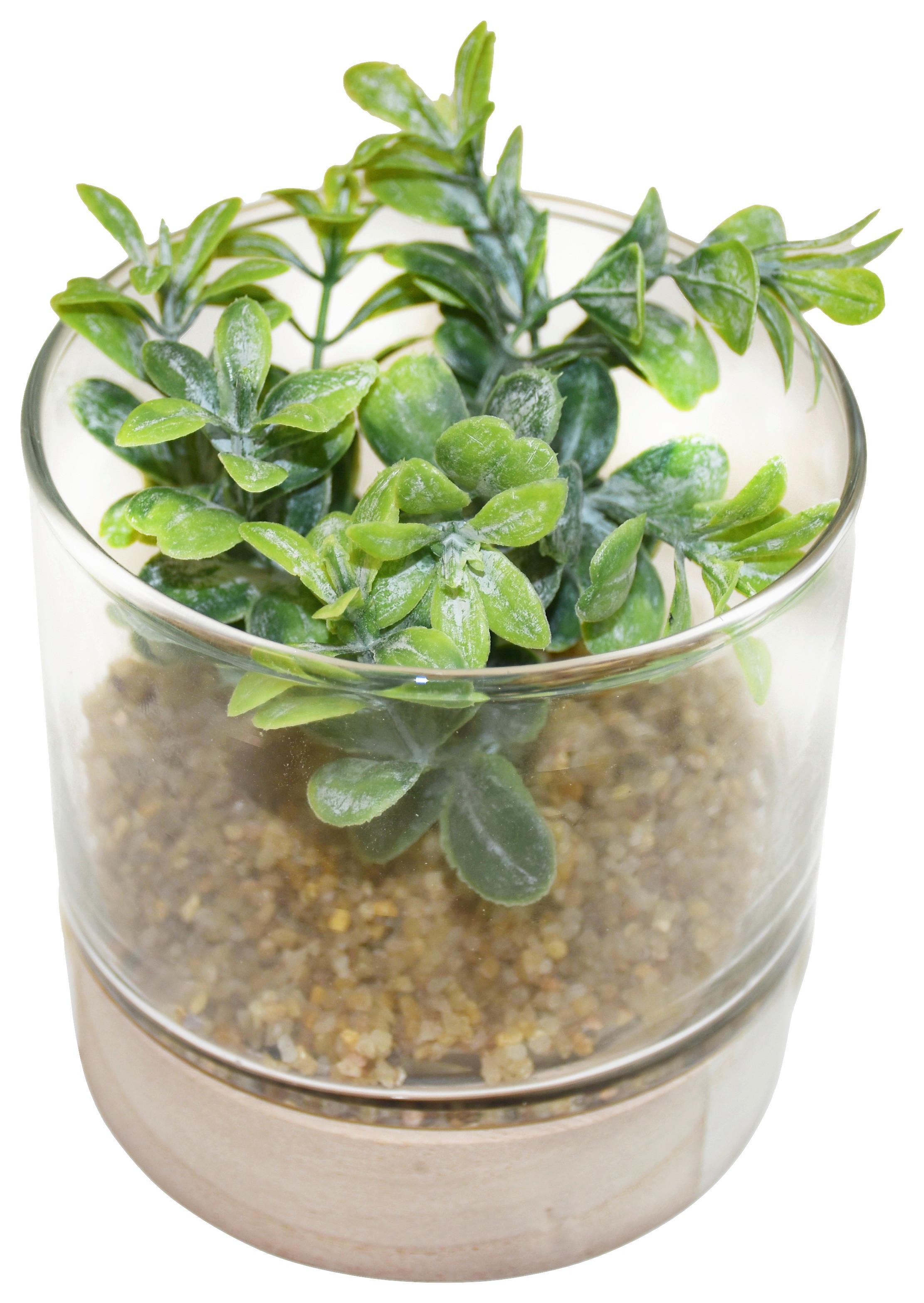 Plantă artificială SUKKULENTENDISPLAY II - verde, Basics, plastic/sticlă (10/10cm) - Modern Living