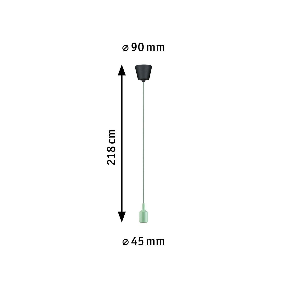 Hängeleuchte Ketil in Schwarz/Hellgrün max. 60 W - Basics (9/218,cm) - Paulmann