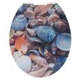 Deska Za Wc-školjko Shell -sb- - večbarvno, Moderno, les (37/43,5/6cm) Deska Za Wc-školjko Shell -sb- - večbarvno, Moderno, les (37/43,5/6cm)