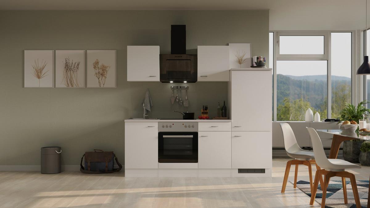 Kuhinjski Blok Wito - barve nerjavečega jekla/bela, Moderno, umetna masa/leseni material (220cm) - FlexWell