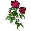 Umetna Rastlina Peonienzweig I - rdeča/zelena, Basics, umetna masa (70cm) - Modern Living