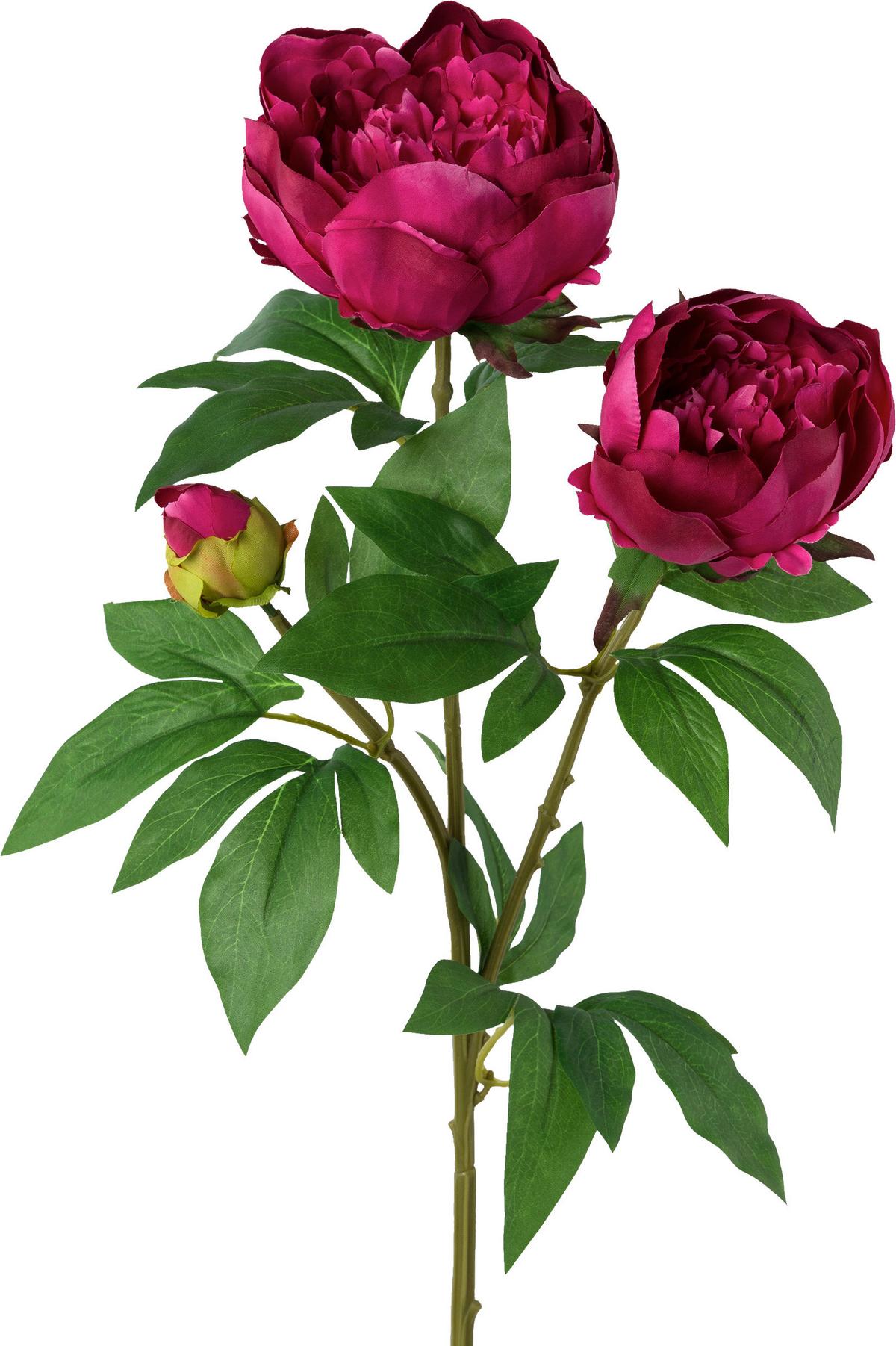 Kunstpflanze Peonienzweig I Kirschrot - Rot/Grün, Basics, Kunststoff (70cm) - Modern Living