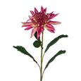 Kunstblume Pia in Pink - Pink, ROMANTIK / LANDHAUS, Kunststoff/Textil (69cm) Kunstblume Pia in Pink - Pink, ROMANTIK / LANDHAUS, Kunststoff/Textil (69cm)