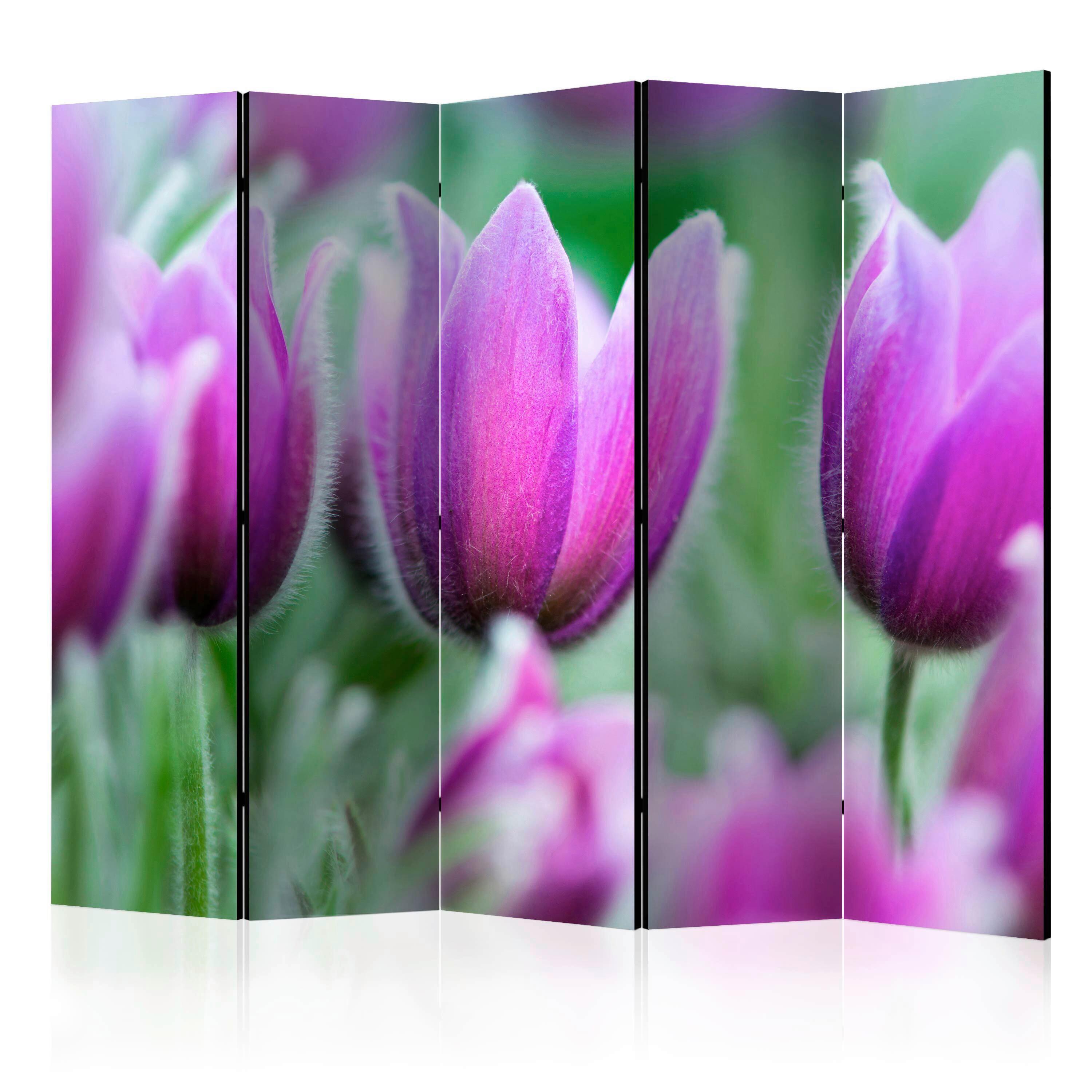 Paravan Purple Spring Tulips I, 5-Delni, Dvostranski - vijolična/zelena, Basics, tekstil/les (225/172/3cm) - artgeist
