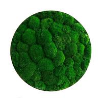 Moosbild Grün - Silberfarben/Grün, Basics, Naturmaterialien/Metall (54/10cm)