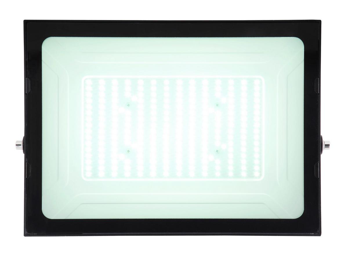 Zunanja Stenska Svetilka Helga, S Sijalko - črna/prozorno, Basics, kovina/steklo (35/18/26cm) - Globo