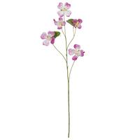 Dekozweig Bauhinia I Pink/Braun - Pink/Braun, KONVENTIONELL, Kunststoff (108cm) - Mömax