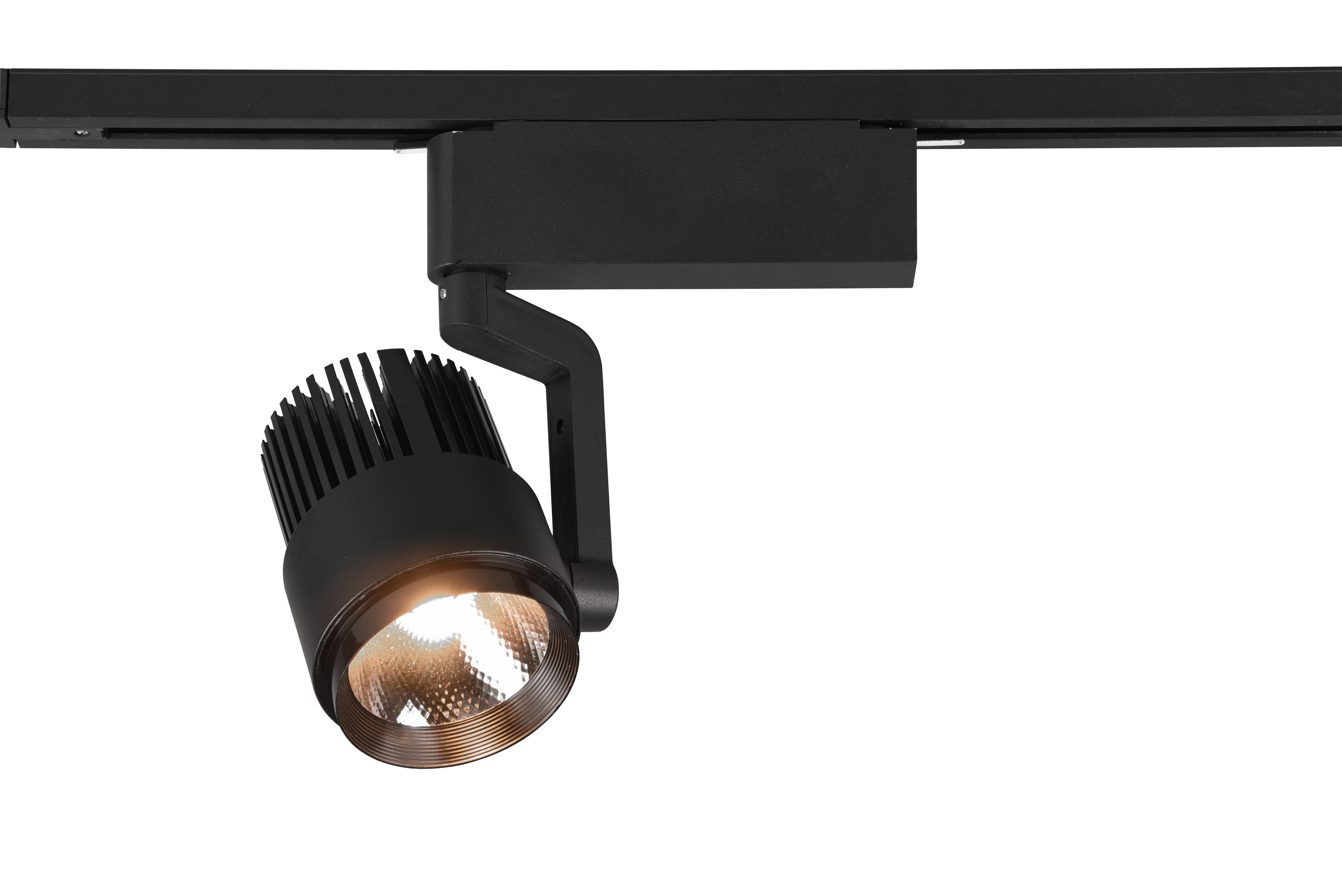 Deckenleuchte Duoline Radiator Schwarz max. 15 Watt - Schwarz, Basics, Metall (23/22,3/9cm) - Trio Leuchten