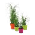 Šop Trave Patrick - zelena, tekstil (60cm) - Mömax modern living Šop Trave Patrick - zelena, tekstil (60cm) - Mömax modern living