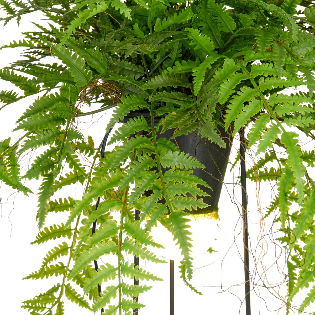 Kunstpflanze Farnmix Grün ca. 60cm - Schwarz/Grün, Basics, Kunststoff/Metall (60cm) - P & B