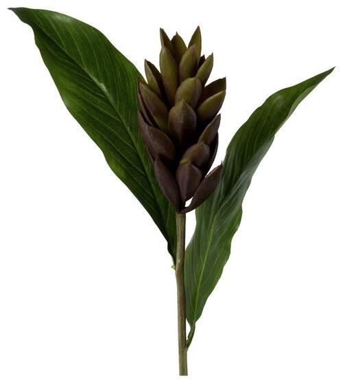 Kunstpflanze Ginger - Bordeaux/Naturfarben, Basics, Kunststoff (89cm) - Modern Living