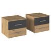 Set Noćnih Ormarića Foster - siva/hrast Artisan, Konvencionalno, drvni materijal/plastika (40/36/40cm) - Modern Living