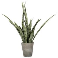 Plantă artificială Sansevera - verde/gri, Basics, plastic (85cm)