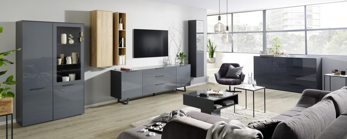 Viseči Element Max Box - antracit, Moderno, steklo/leseni material (38/175/32cm) - Premium Living