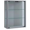 Viseča Vitrina Udina, Srebrna, Led - srebrne barve/črna, Konvencionalno, umetna masa/steklo (60/80/25cm) - MID.YOU