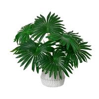 Plantă artificială Palm - Basics (20/50cm)