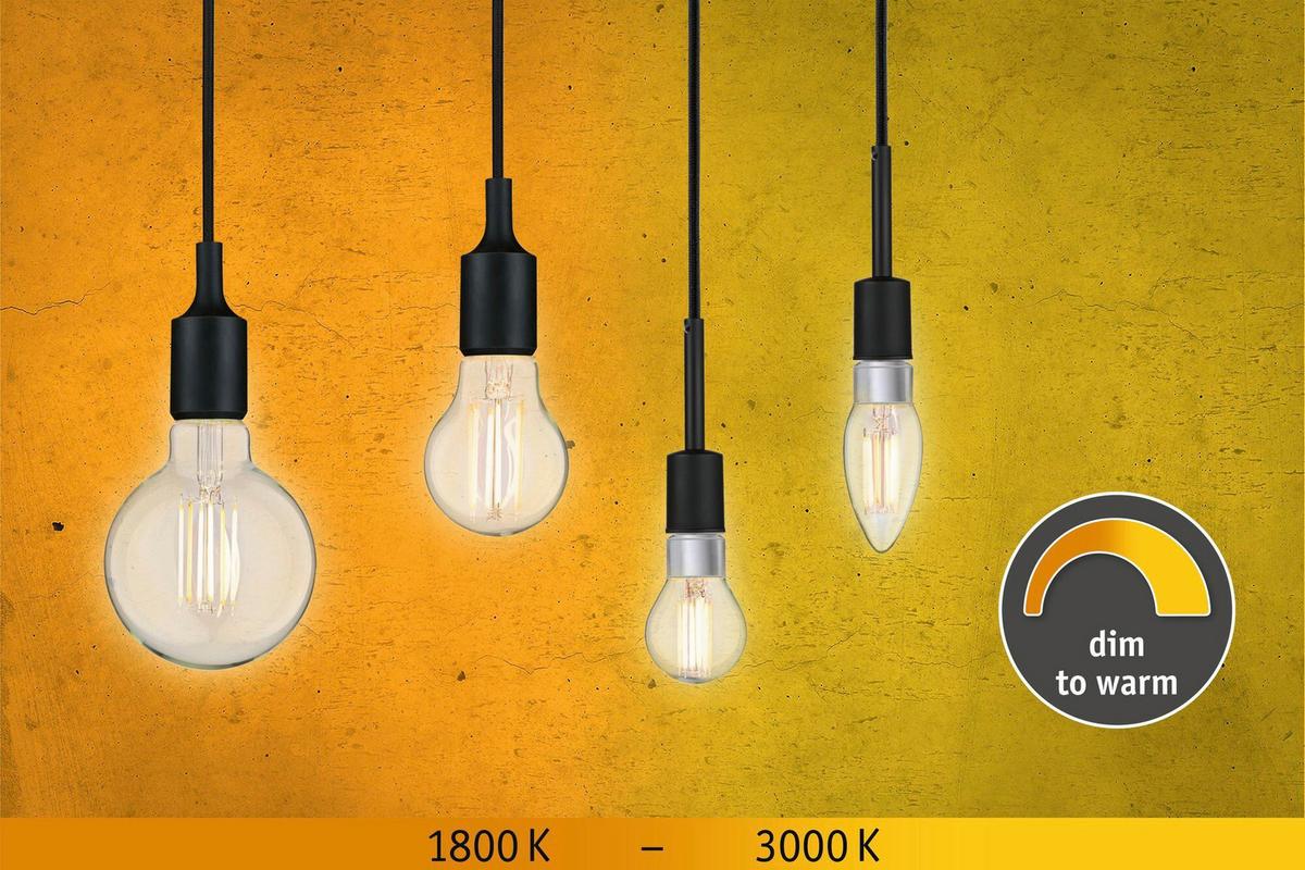 LED-Leuchtmittel 28779 max. 7 Watt - Klar, Basics, Glas (9,5cm) - Paulmann