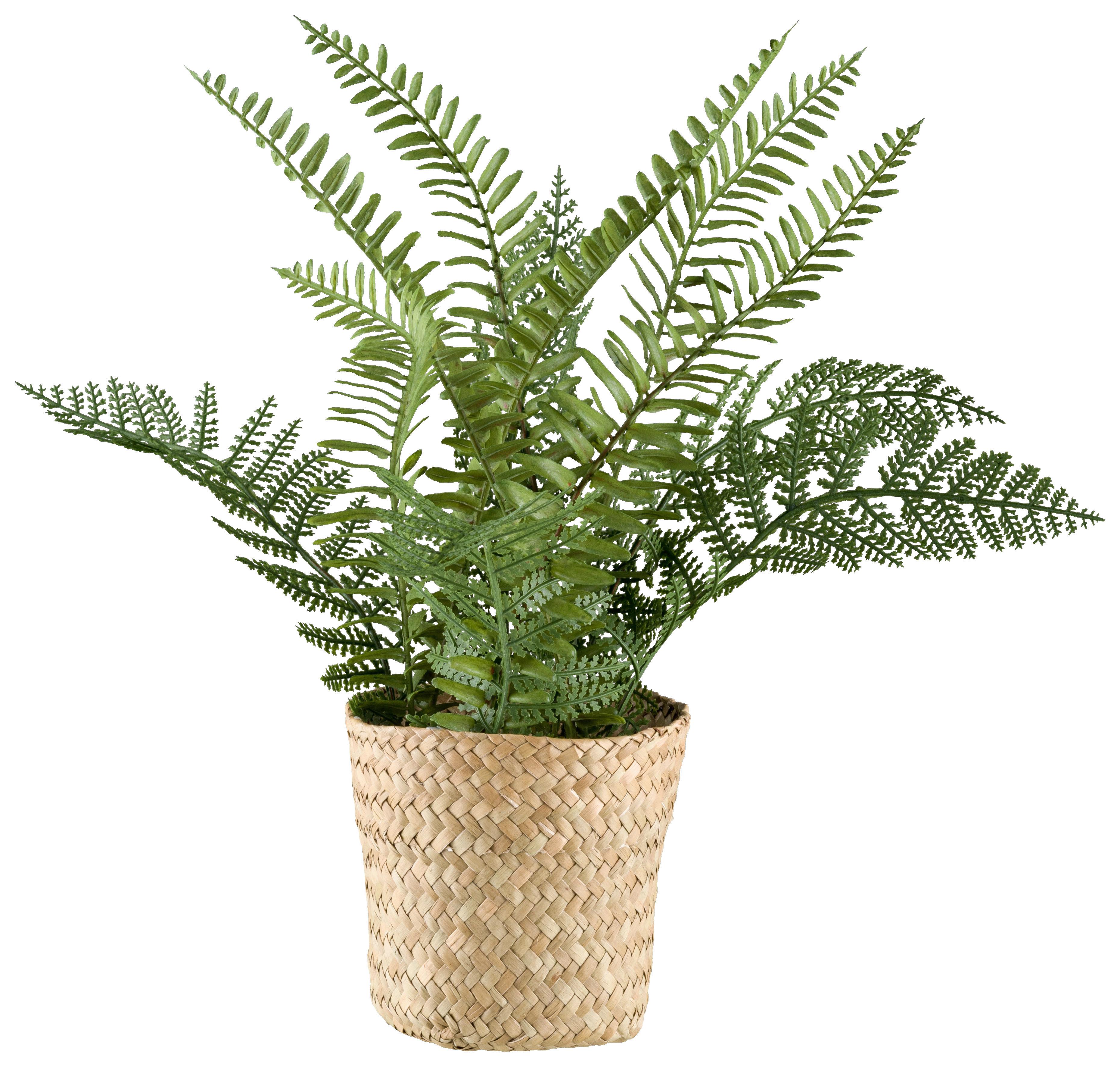 Kunstpflanze Farn II in Grün - Naturfarben/Grün, Basics, Naturmaterialien/Kunststoff (38cm) - Modern Living