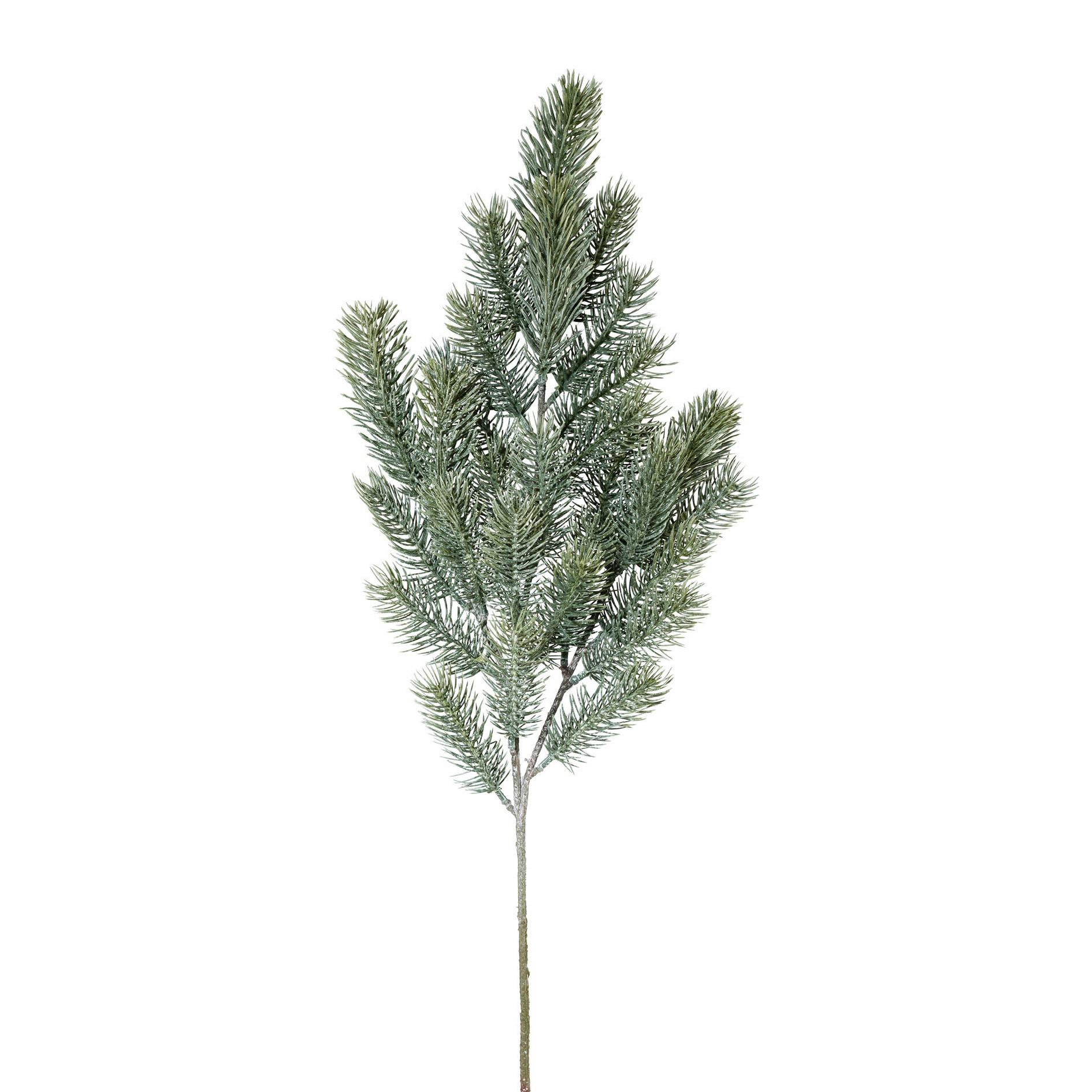 Umetna Rastlina Blautannenzweig I - zelena, Basics, umetna masa (67cm) - Mömax