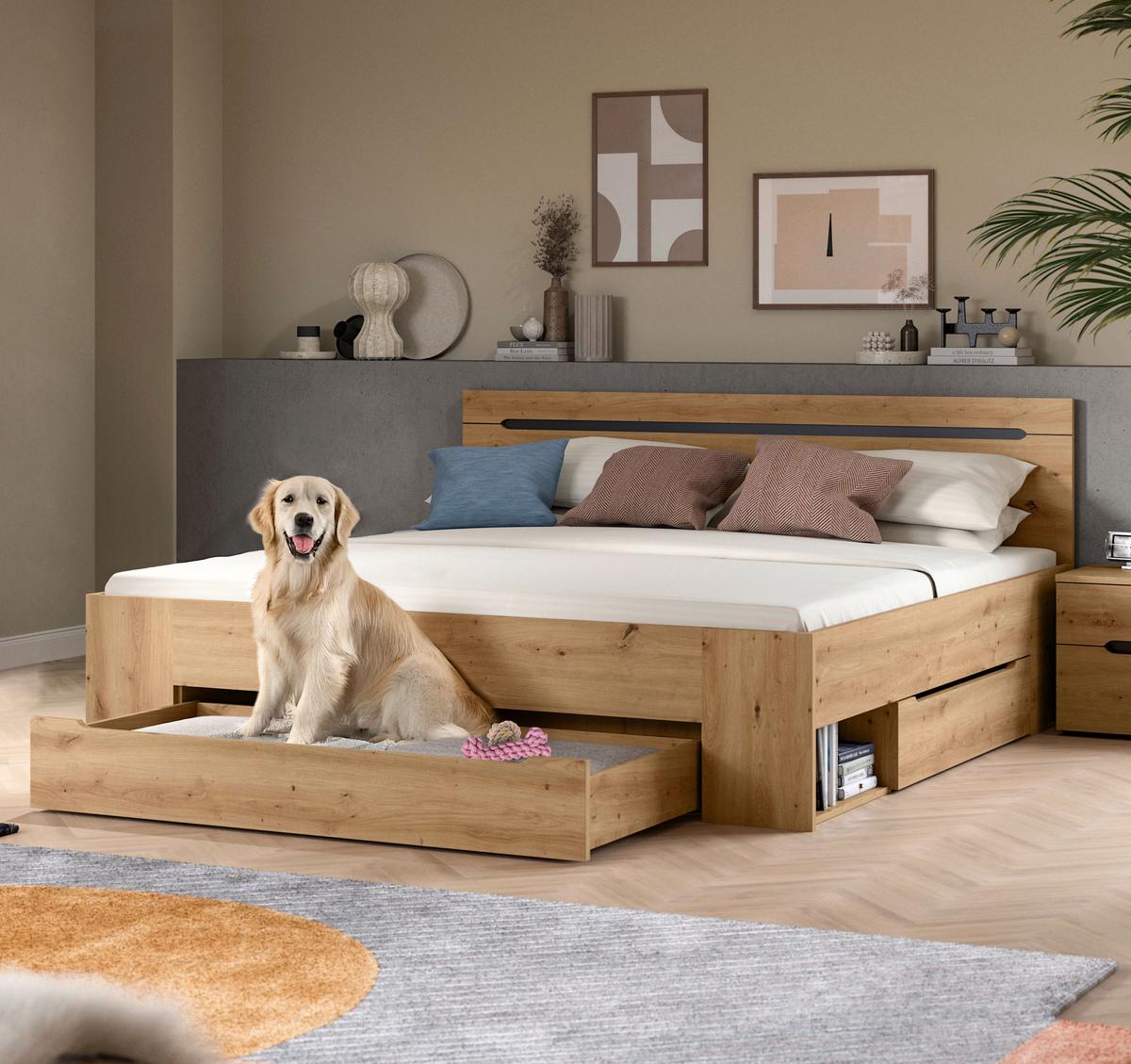 Bett CANU Eiche Artisan ca. 180x200 cm mit Stauraum - Eiche Artisan/Grau, MODERN, Holzwerkstoff (180/200cm) - MID.YOU