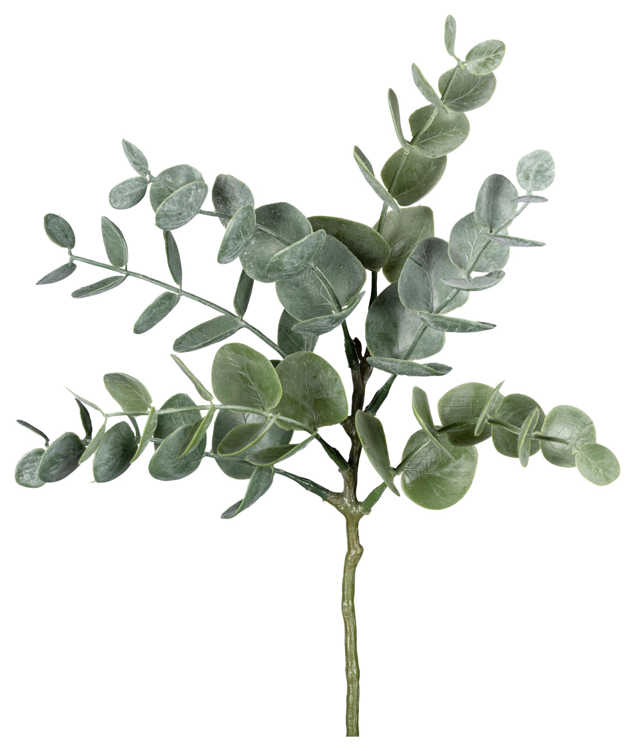 Plantă artificială EUCALYPTHUSZWEIG II -PAZ- - verde, Konventionell, plastic (26cm) - Modern Living