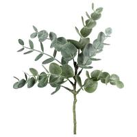 Műnövény Eucalypthus - zöld, Konventionell, műanyag (26cm) - Modern Living