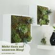 Stenski Regal Triple Cubes - bela, kovina/umetna masa (28/24/20/28/24/20/12cm) - Mömax modern living Stenski Regal Triple Cubes - bela, kovina/umetna masa (28/24/20/28/24/20/12cm) - Mömax modern living