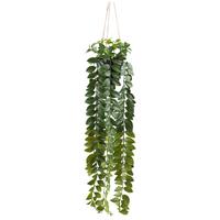 Umetna Rastlina Columnea Ii - črna/zelena, Konvencionalno, umetna masa (85cm) - Mömax