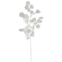 Umetna Rastlina Eukalyptuszweig I - bela, Basics, umetna masa (77cm) - Mömax