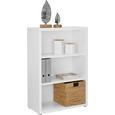 Regal Weiß - Alufarben/Weiß, MODERN, Holzwerkstoff/Kunststoff (78/115/37cm) - Premium Living Regal Weiß - Alufarben/Weiß, MODERN, Holzwerkstoff/Kunststoff (78/115/37cm) - Premium Living