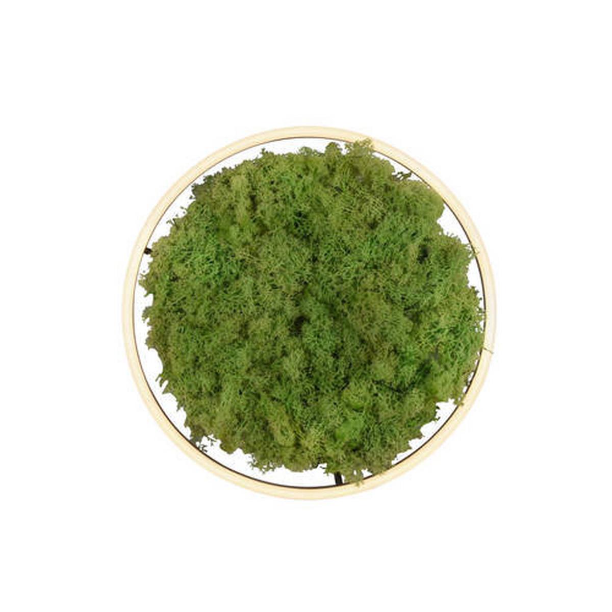 LAMPA SUFITOWA LED 15391-66 GREEN RITUS - kolor naturalny, Natur, tworzywo sztuczne/materiały naturalne (39,3/39,3/5,3cm)