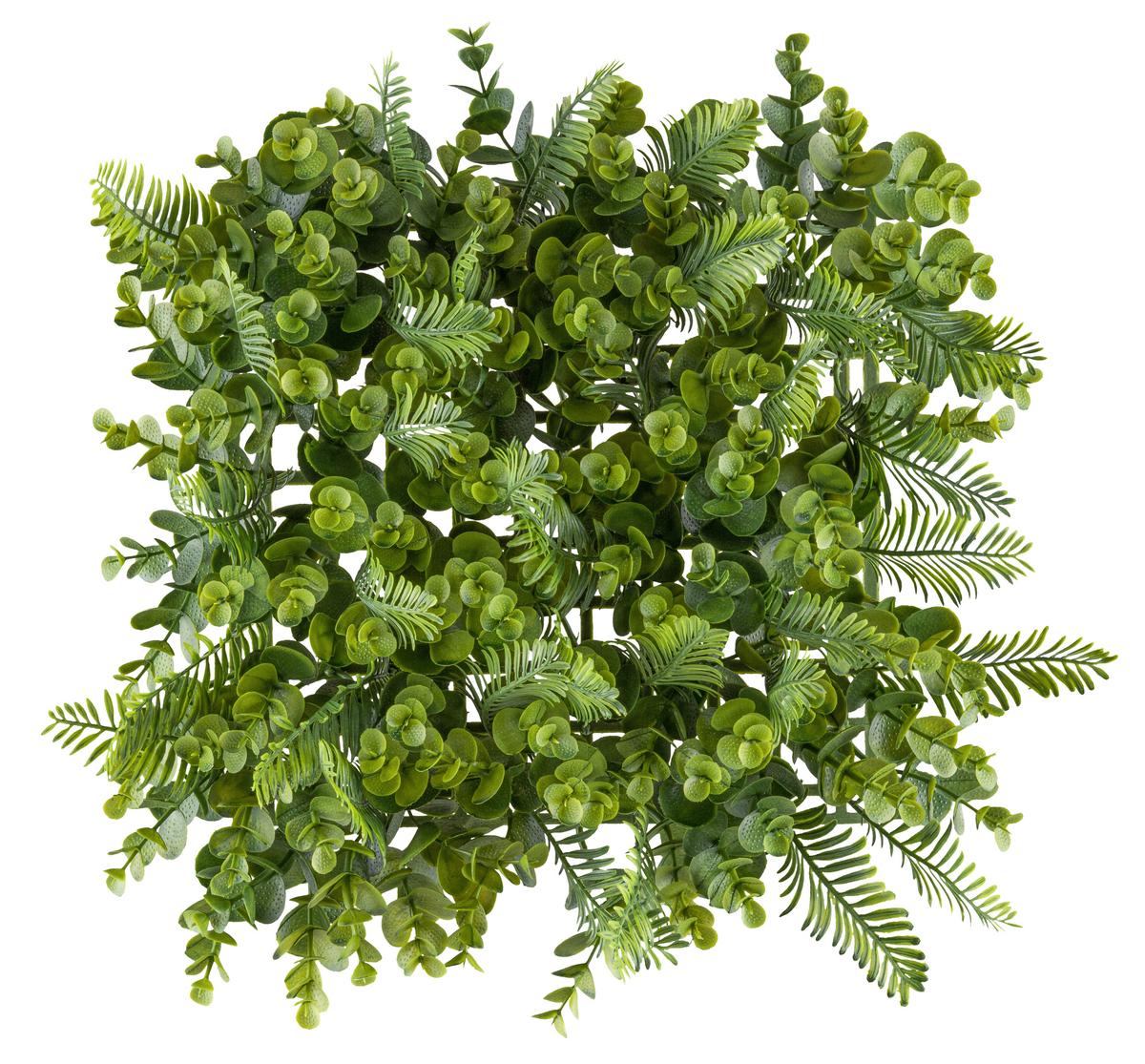Umetna Rastlina Wandmatte Ii - zelena, Konvencionalno, umetna masa (25/25cm) - Mömax